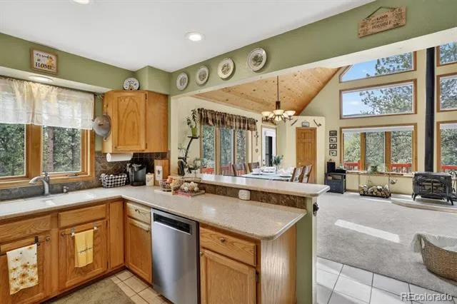 599 Vigilante Avenue Bailey, CO 80421