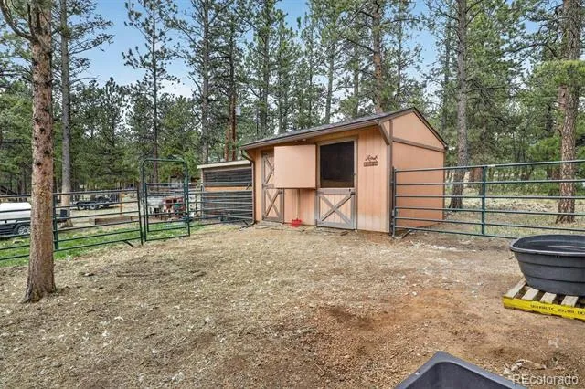 599 Vigilante Avenue Bailey, CO 80421