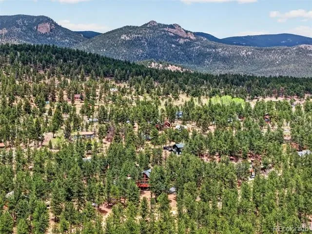 599 Vigilante Avenue Bailey, CO 80421