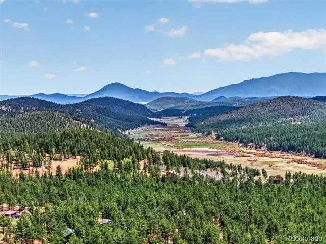 599 Vigilante Avenue Bailey, CO 80421