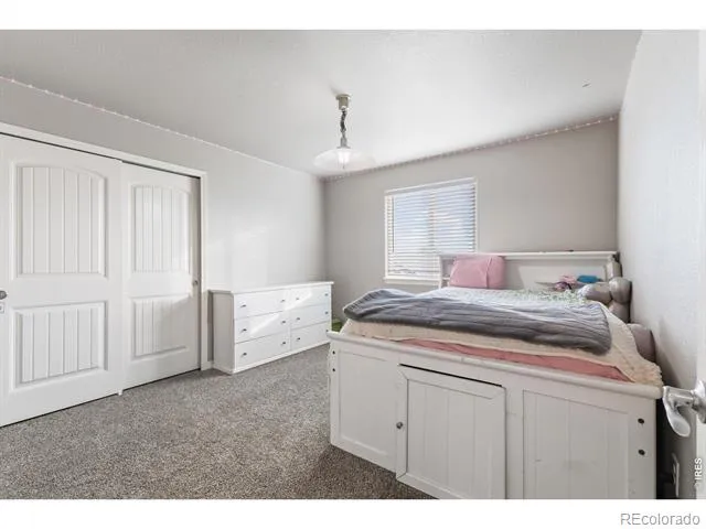 1515 Cirque Valley Lane Severance, CO 80550