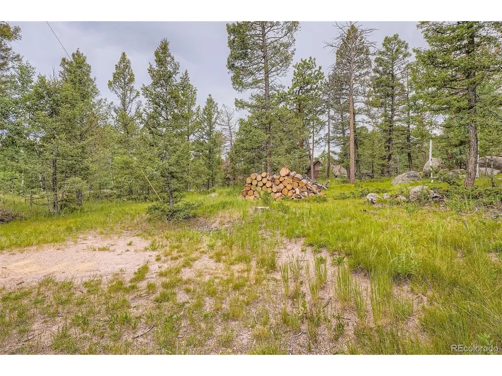 30520 Rand Road Conifer, CO 80433