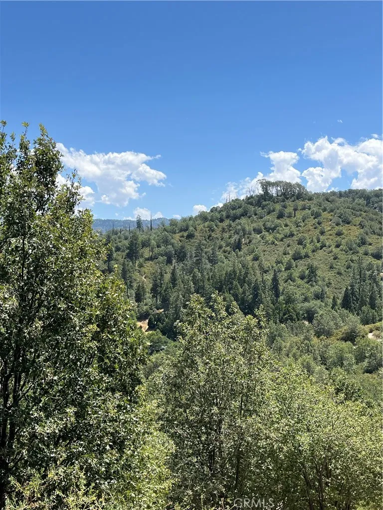 Hill Drive Cedar Glen, CA 92321
