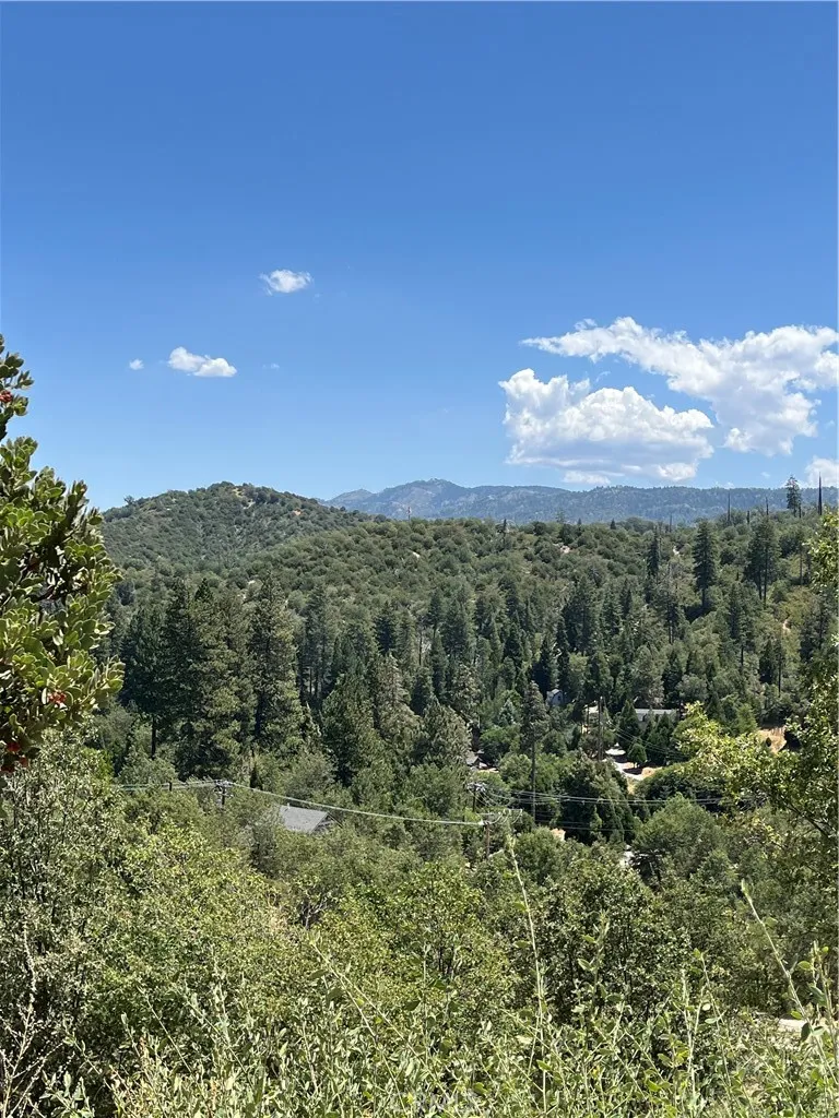 Hill Drive Cedar Glen, CA 92321