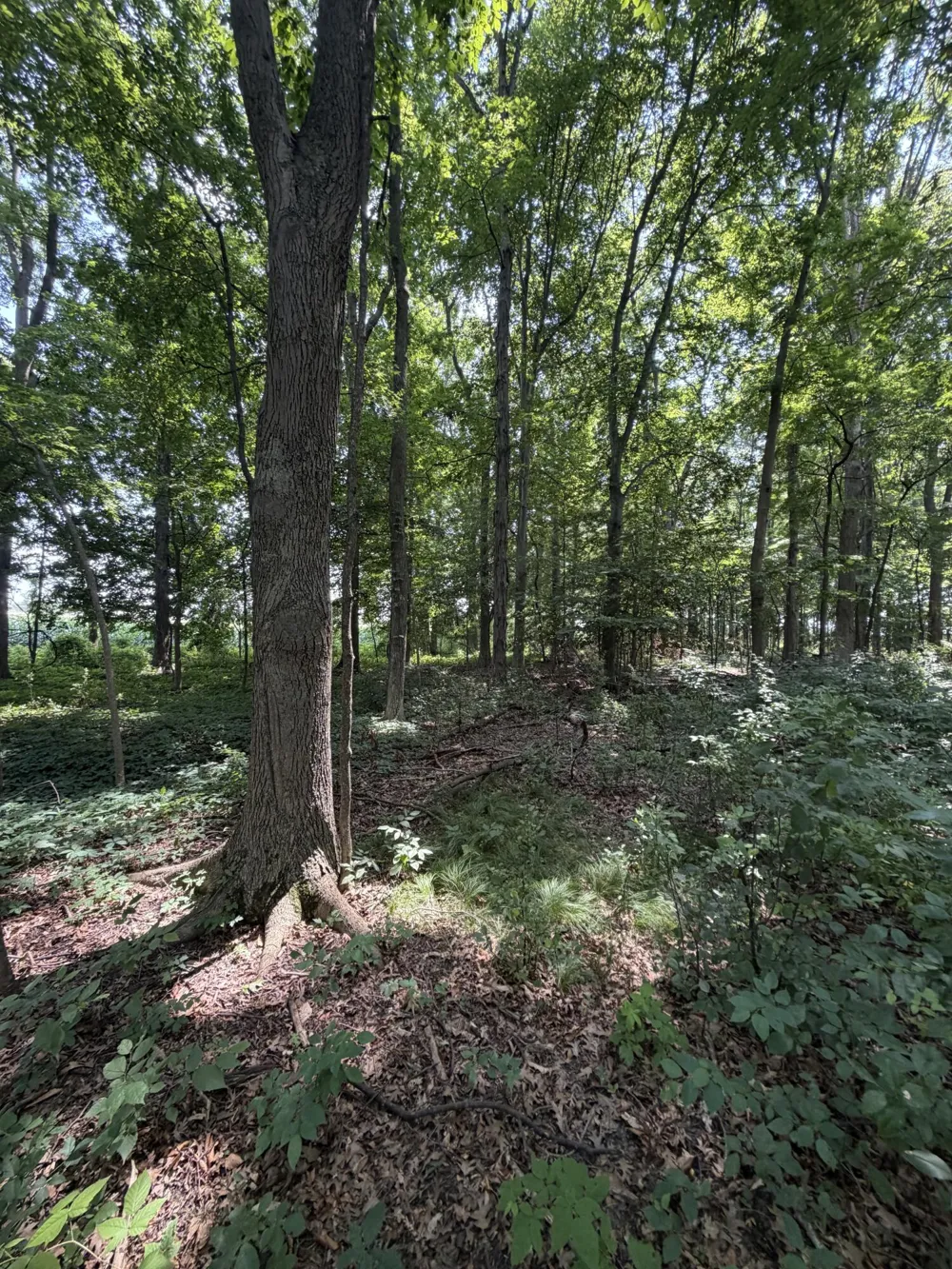 2095 Brettrager Drive Saginaw, MI 48601
