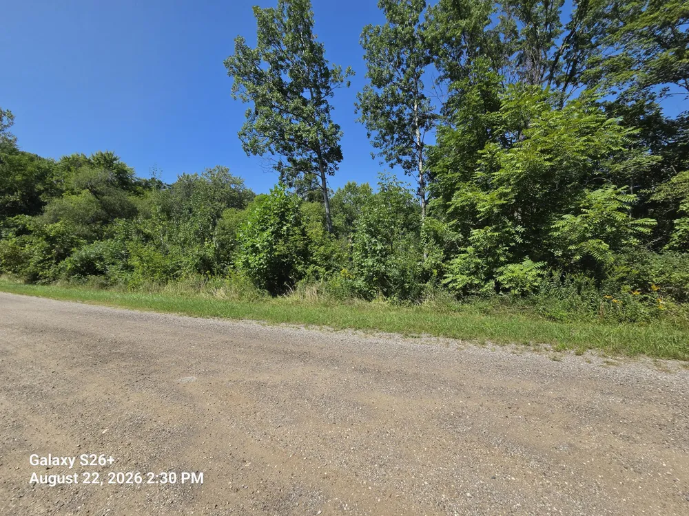 3079 Pershing Drive Coloma, MI 49038