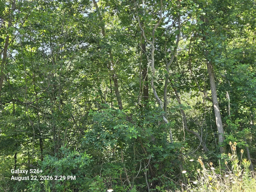 3079 Pershing Drive Coloma, MI 49038