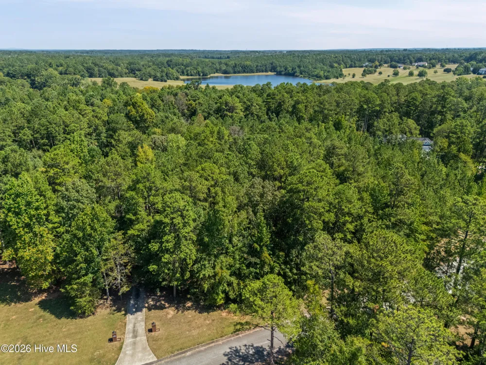 1384 Tanyard Creek Drive Thomson, GA 30824