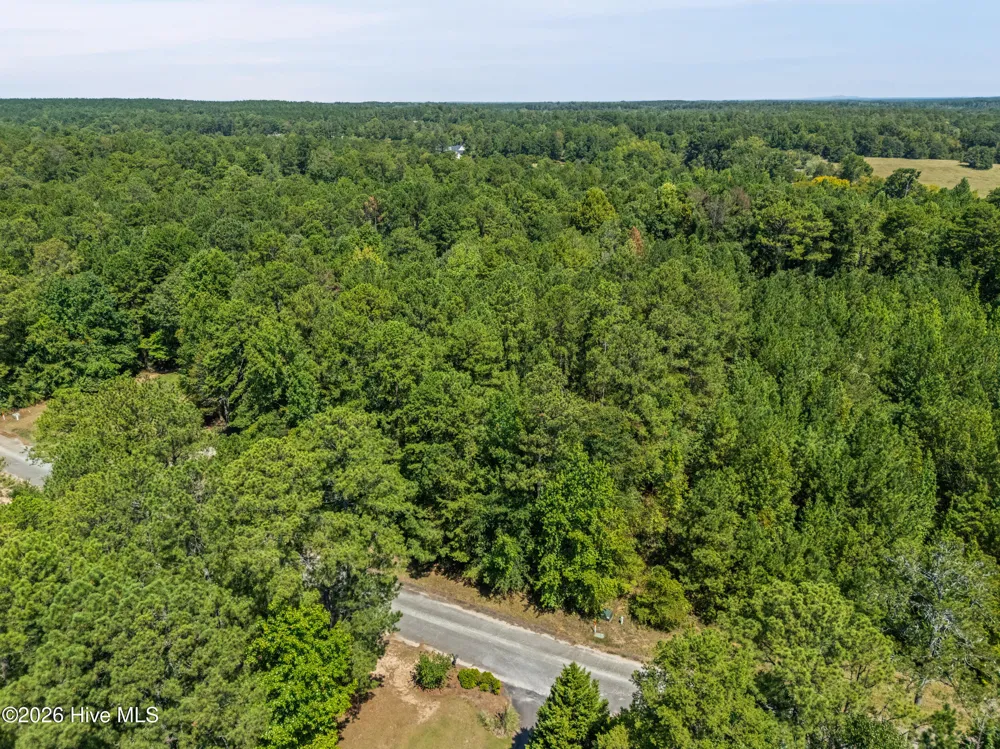 1384 Tanyard Creek Drive Thomson, GA 30824