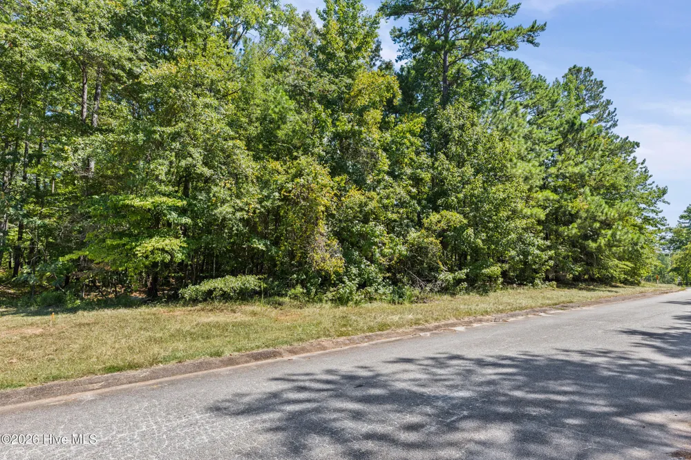 1384 Tanyard Creek Drive Thomson, GA 30824