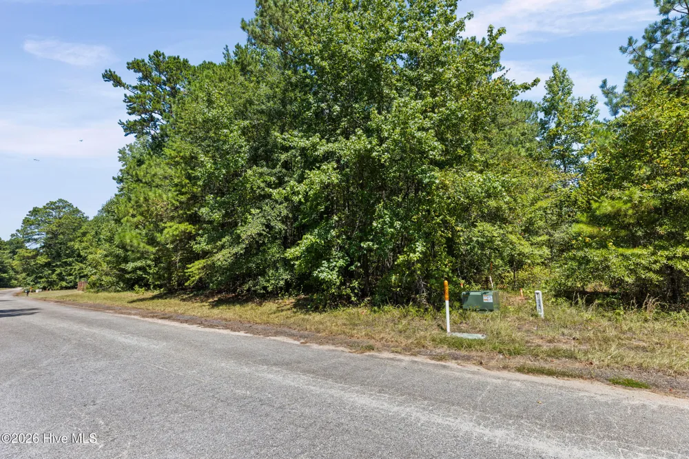 1384 Tanyard Creek Drive Thomson, GA 30824