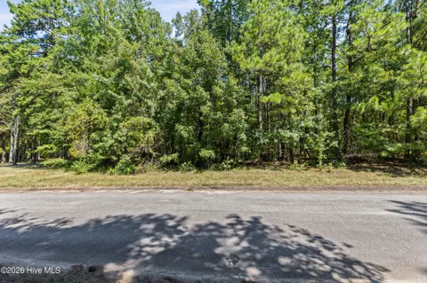 1384 Tanyard Creek Drive