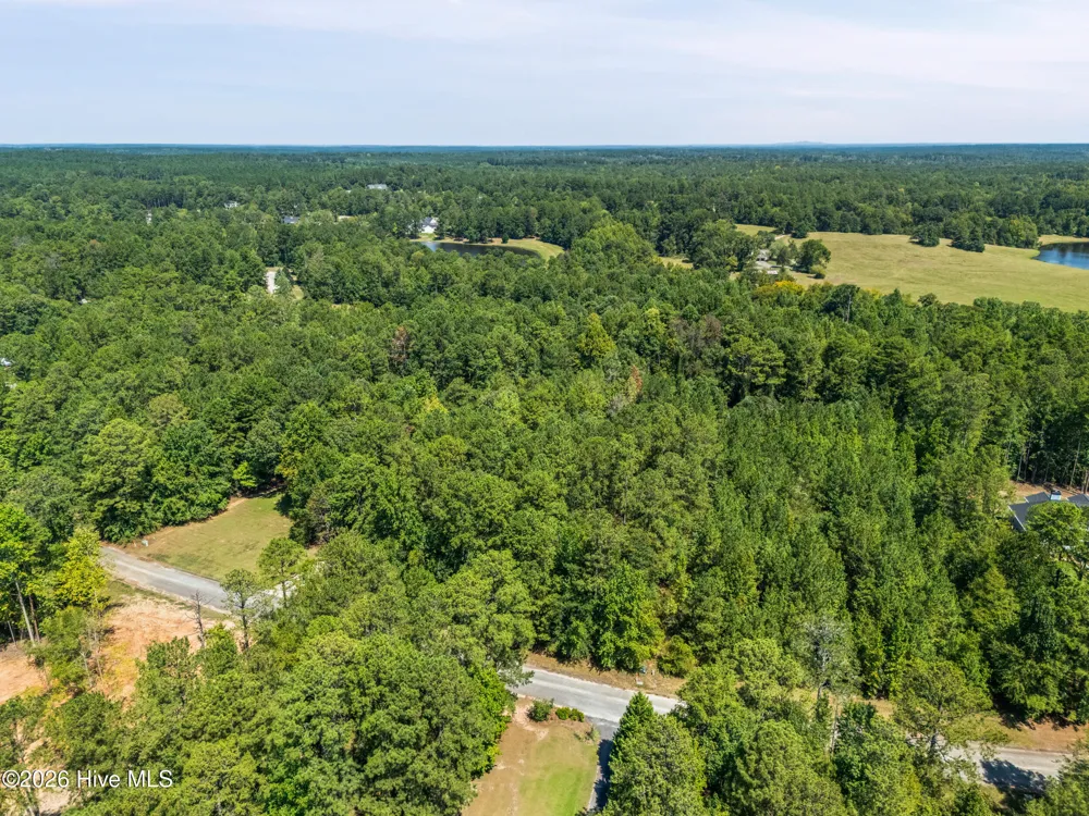 1384 Tanyard Creek Drive Thomson, GA 30824
