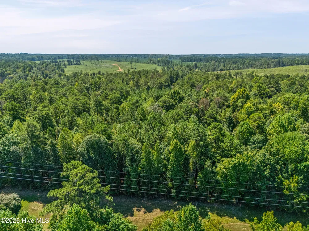 1384 Tanyard Creek Drive Thomson, GA 30824