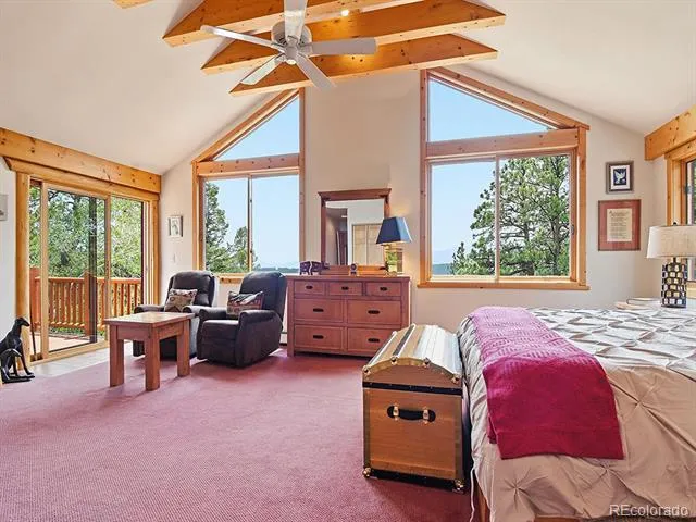 1407 Delwood Drive Bailey, CO 80421