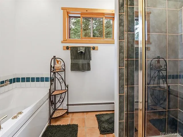 1407 Delwood Drive Bailey, CO 80421