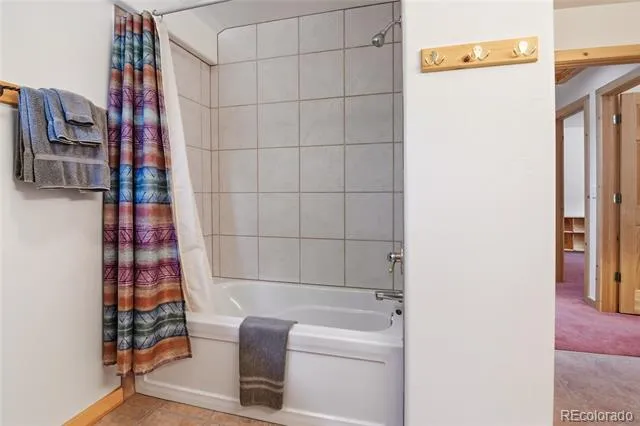 1407 Delwood Drive Bailey, CO 80421