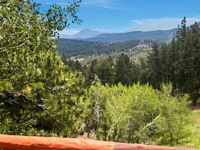 1407 Delwood Drive Bailey, CO 80421
