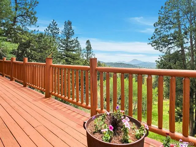 1407 Delwood Drive Bailey, CO 80421
