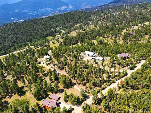 1407 Delwood Drive Bailey, CO 80421