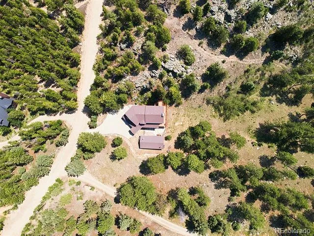 1407 Delwood Drive Bailey, CO 80421