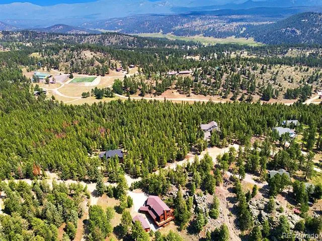 1407 Delwood Drive Bailey, CO 80421