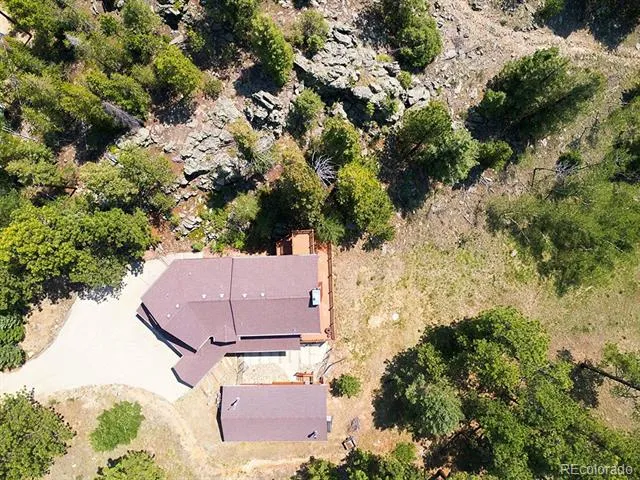 1407 Delwood Drive Bailey, CO 80421