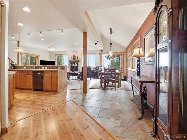 1407 Delwood Drive Bailey, CO 80421