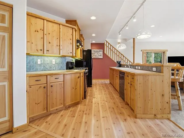 1407 Delwood Drive Bailey, CO 80421