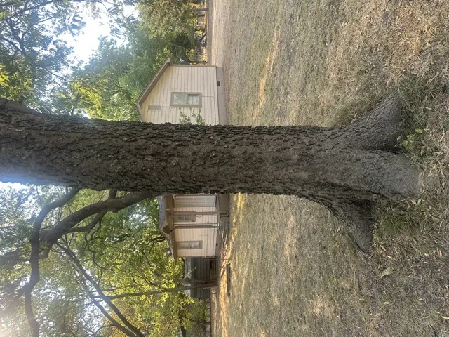 301 Pine Street Marietta, OK 73448