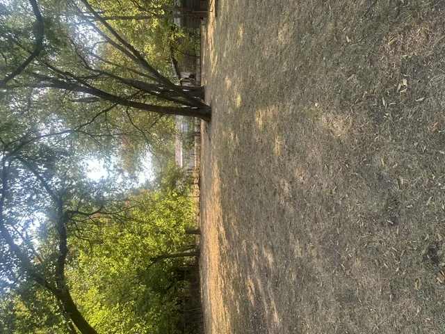 301 Pine Street Marietta, OK 73448
