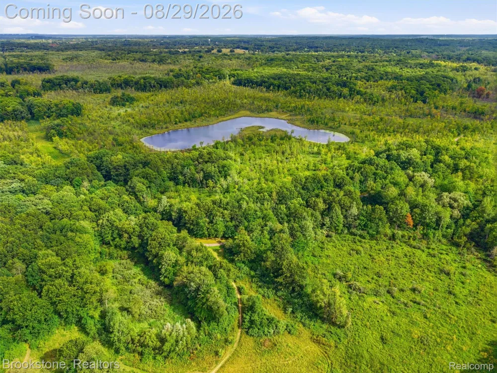 5420 Hillsboro Road Springfield Charter Township, MI 48350