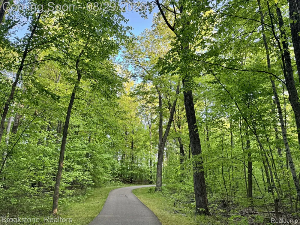 5420 Hillsboro Road Springfield Charter Township, MI 48350