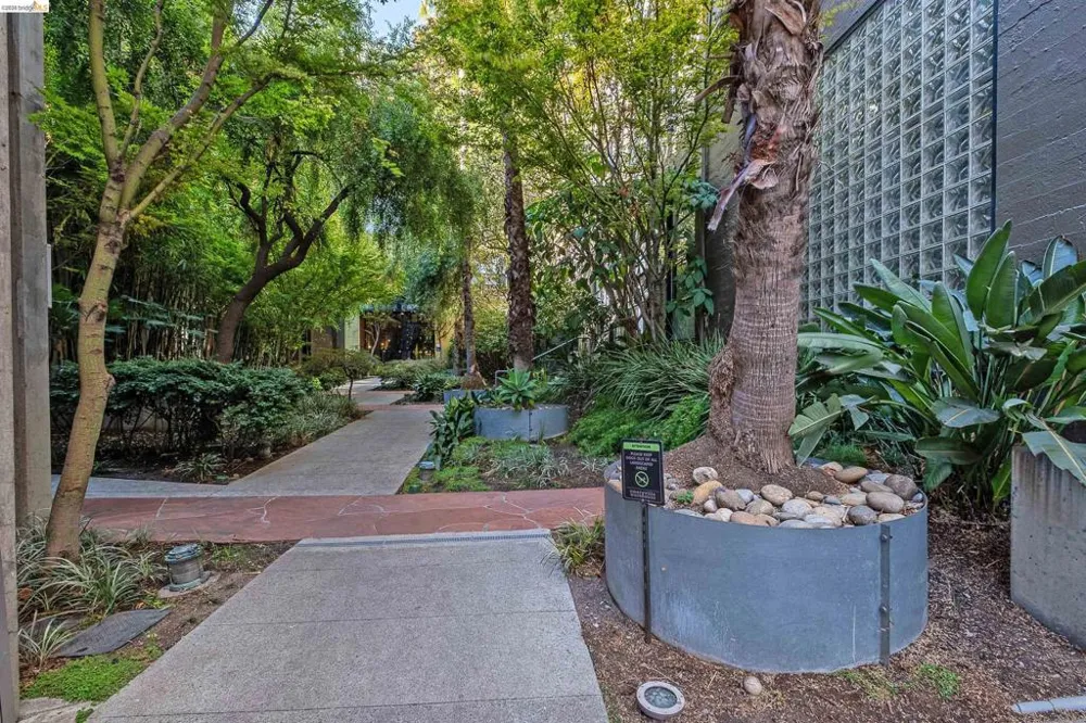 1500 Park Ave #435 Emeryville, CA 94608