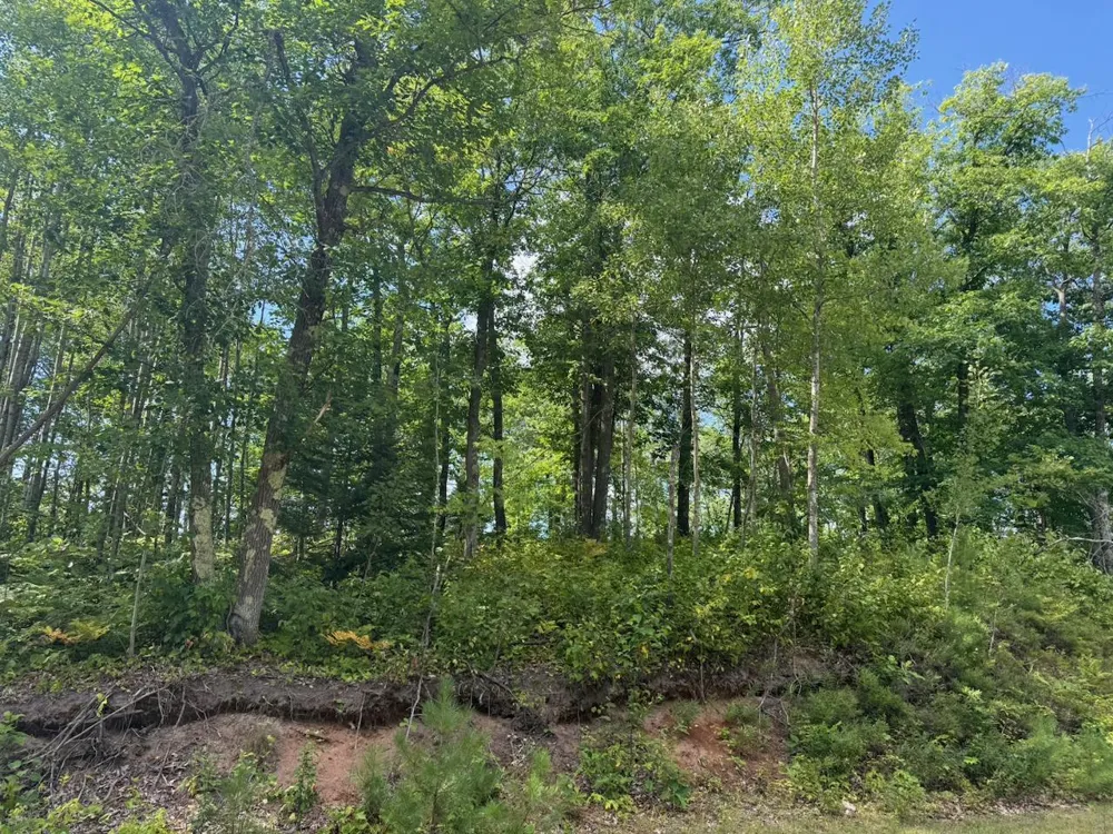 4464 Highway 23 Holyoke, MN 55749