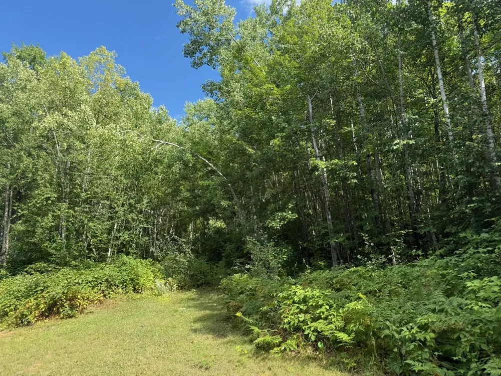 4464 Highway 23 Holyoke, MN 55749