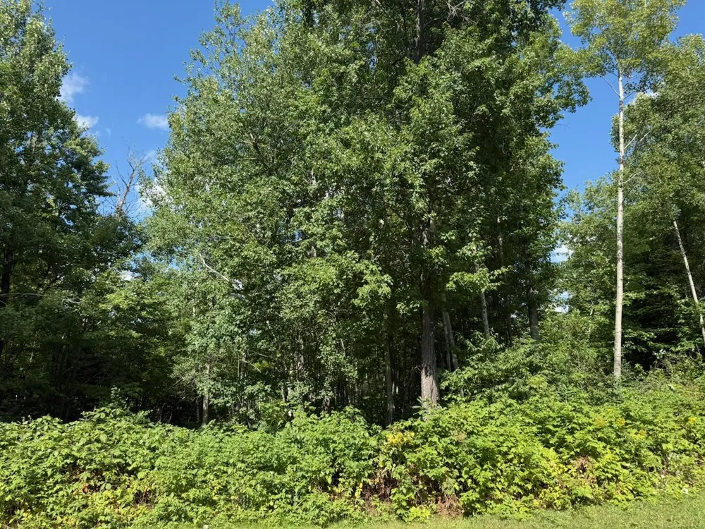 4464 Highway 23 Holyoke, MN 55749
