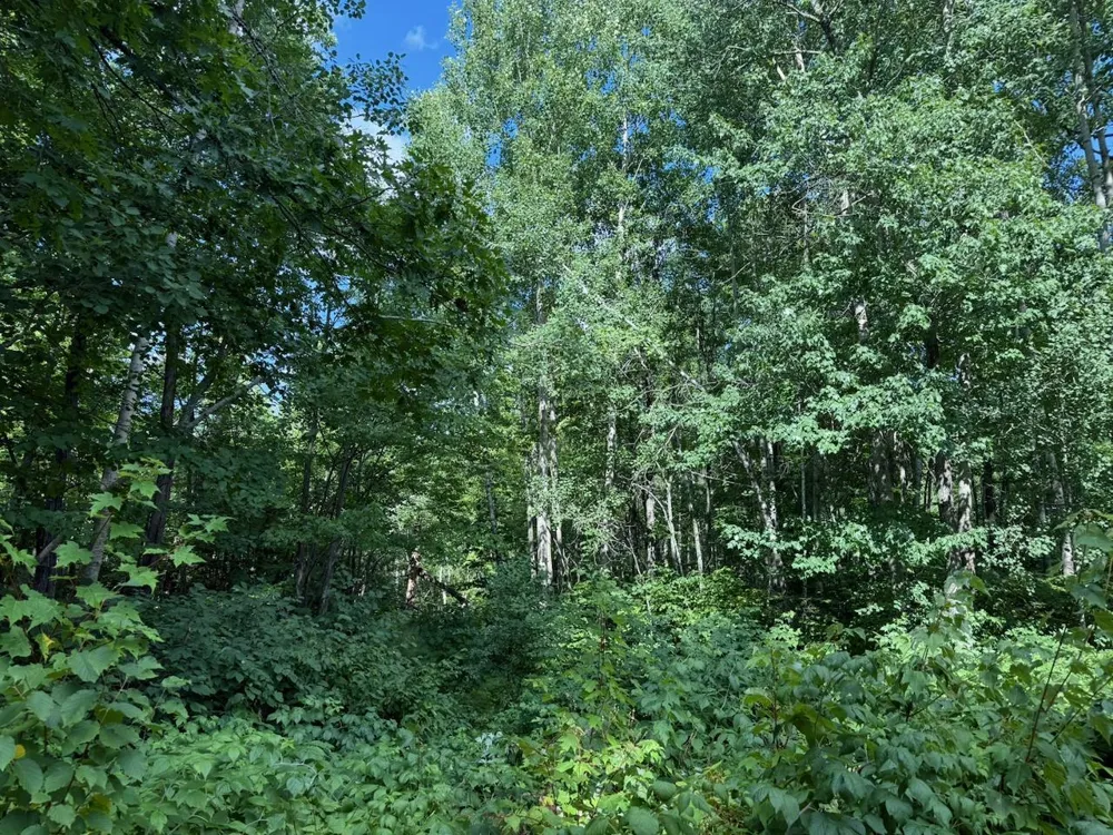 4464 Highway 23 Holyoke, MN 55749