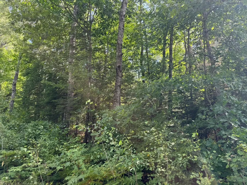 4464 Highway 23 Holyoke, MN 55749