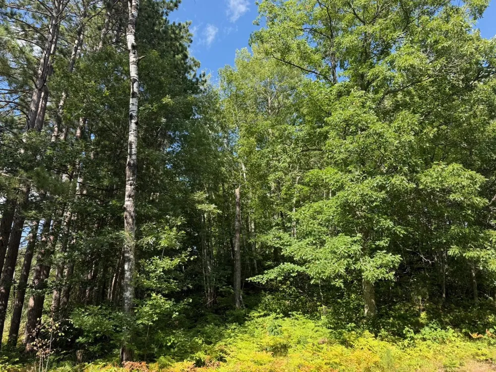 4464 Highway 23 Holyoke, MN 55749