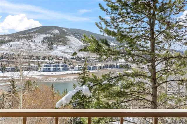 220 E La Bonte Street #215 Dillon, CO 80435