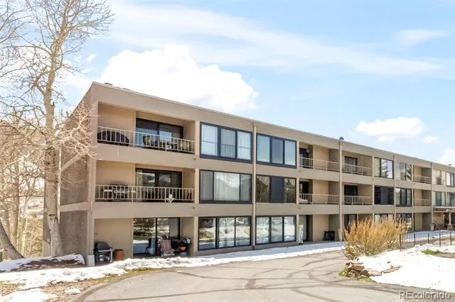 220 E La Bonte Street #215 Dillon, CO 80435
