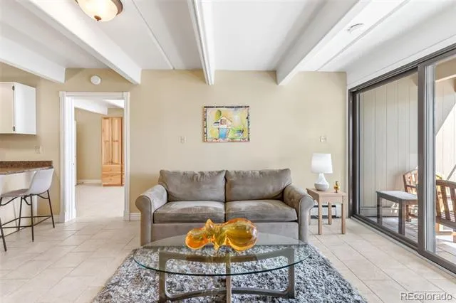 220 E La Bonte Street #215 Dillon, CO 80435