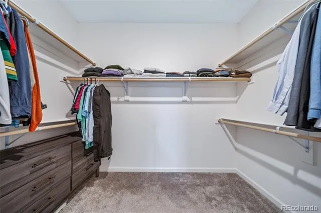 3400 Dryden Place Mead, CO 80542