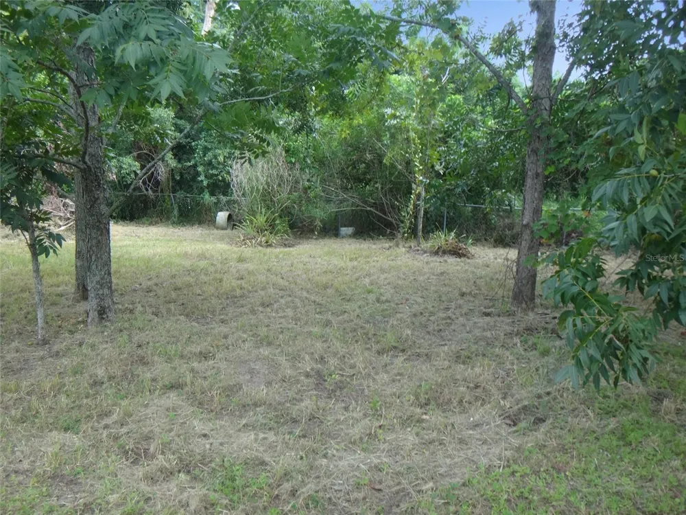 1125 BRITTS LANE Bartow, FL 33830