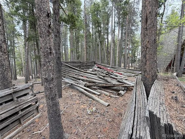 398 Deer Road Evergreen, CO 80439