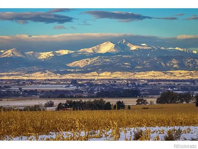 2360 Birdie Way Milliken, CO 80543