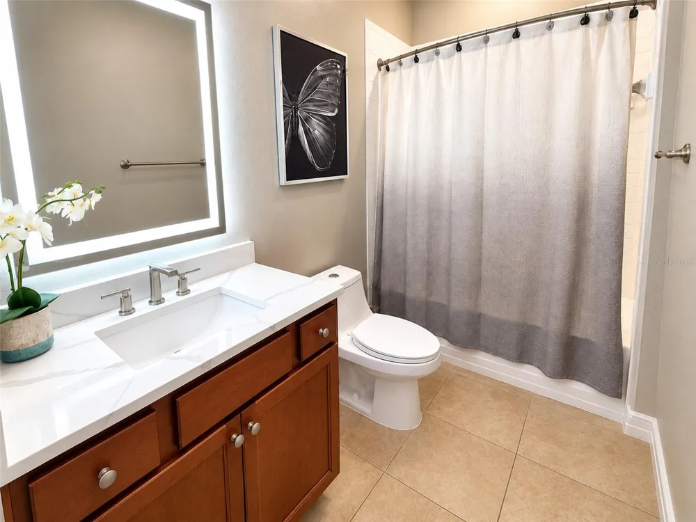 1880 TONKA TERRACE Wesley Chapel, FL 33543