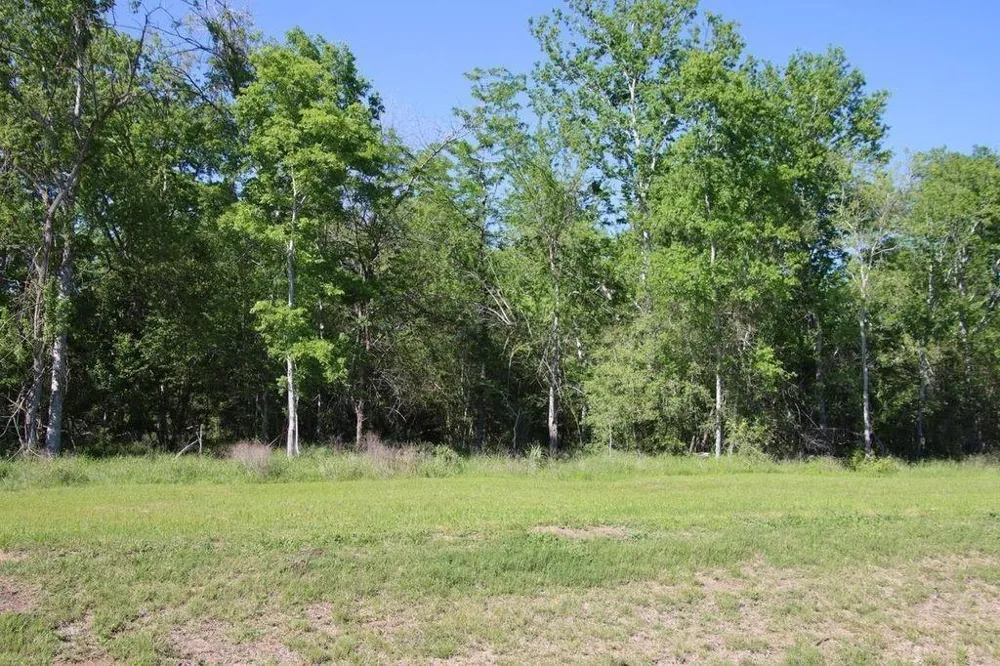 4 Clear Woods Court W Washington, TX 77880