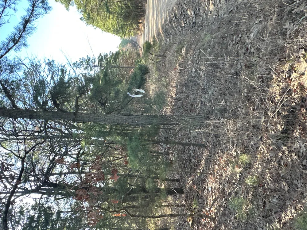 1 Johns Valley Road Moyers, OK 74557